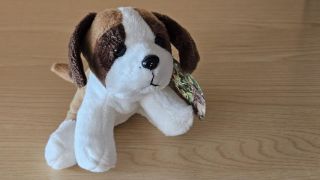 Obrázek z Pes Bernardýn plyš 15cm 